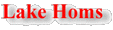 Lake Homs